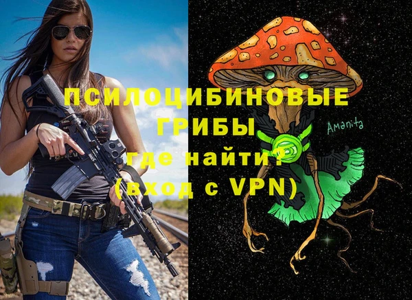 стаф Бугульма